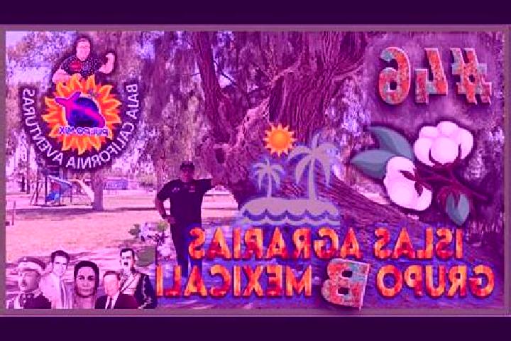 Escorts Islas Agrarias Grupo B, Mexico — Local Companions