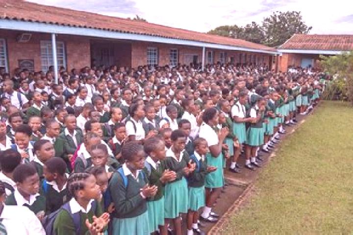 Escorts Ixopo, South Africa — Local Companions