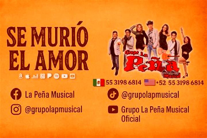 Escorts Izhuapa, Mexico — Local Companions