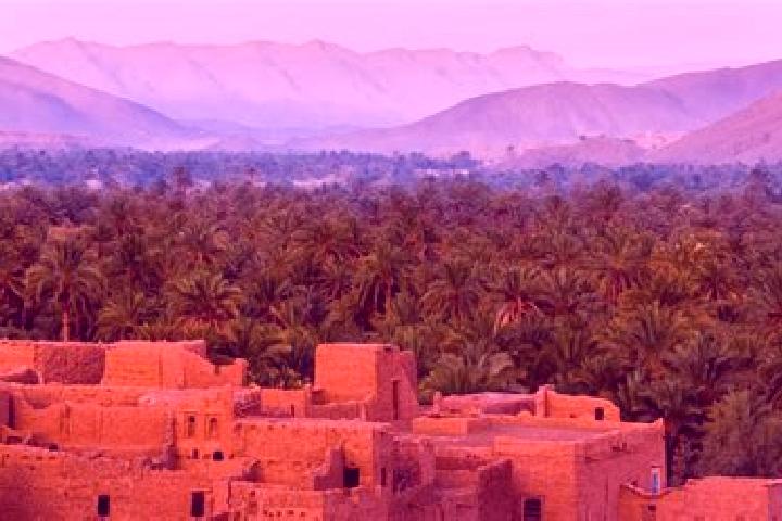 Escorts Jamaat Shaim, Morocco — Local Companions