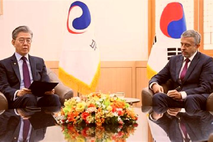 Escorts Jangseong, South Korea — Local Companions