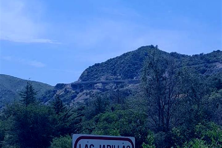 Escorts Jarillas, Mexico — Local Companions