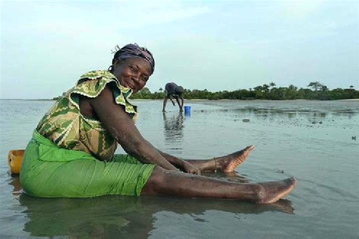 Escorts Jarreng, Gambia — Local Companions