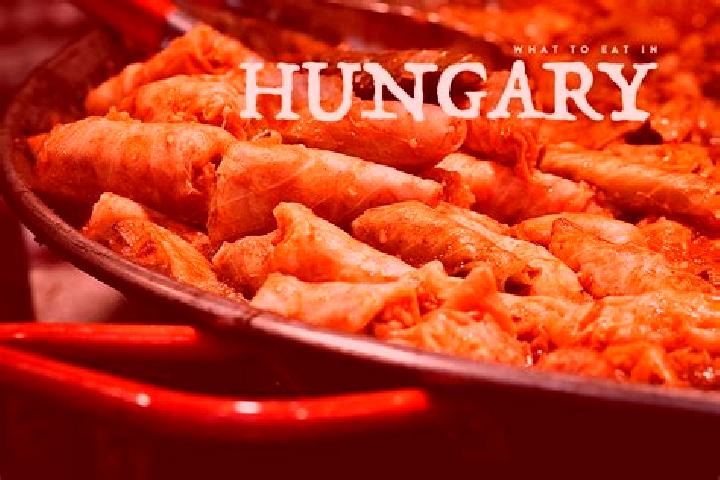 Escorts Jaszarokszallas, Hungary — Local Companions