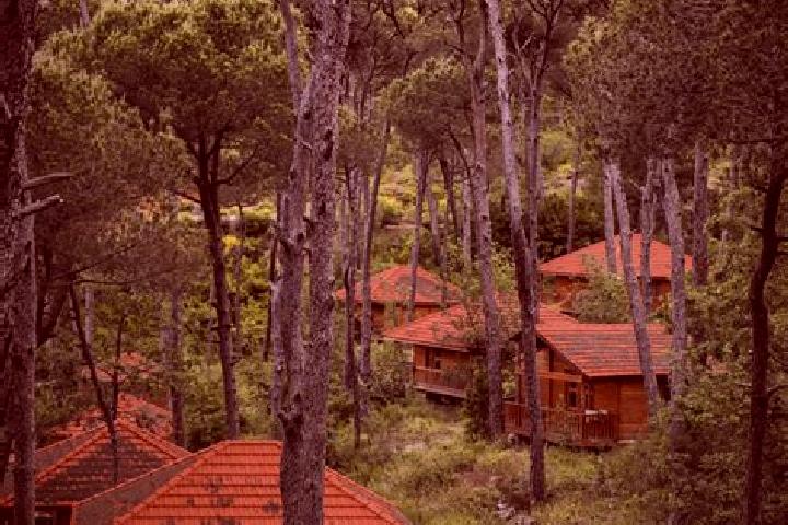 Escorts Jezzine, Lebanon — Local Companions