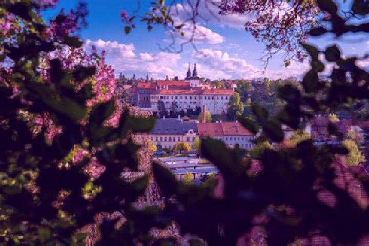 Escorts Jiloviste, Czech Republic — Local Companions