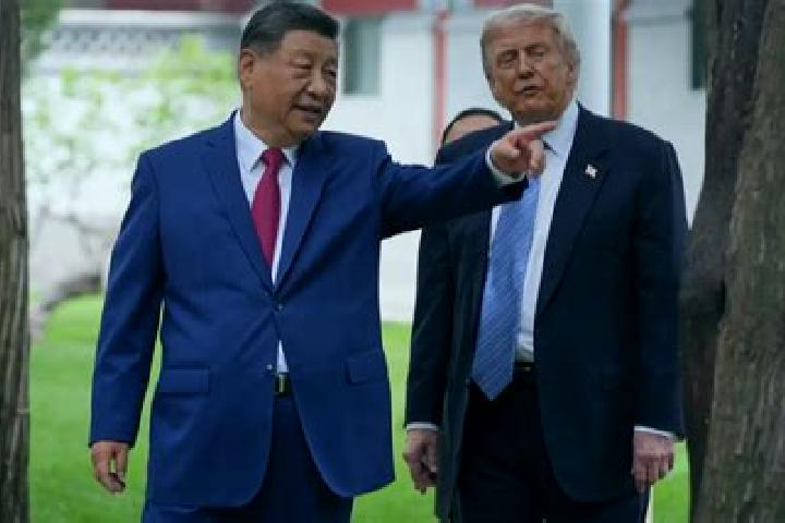 Escorts Jinping, China — Local Companions