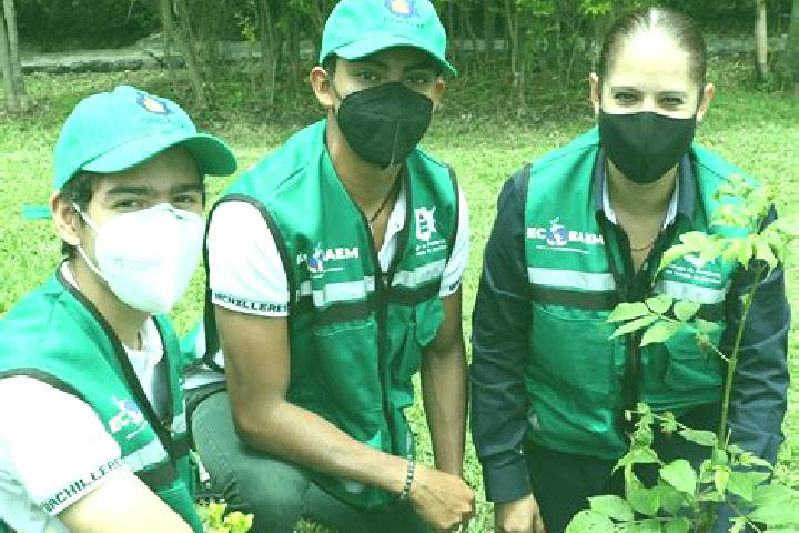 Escorts Jiutepec, Mexico — Local Companions