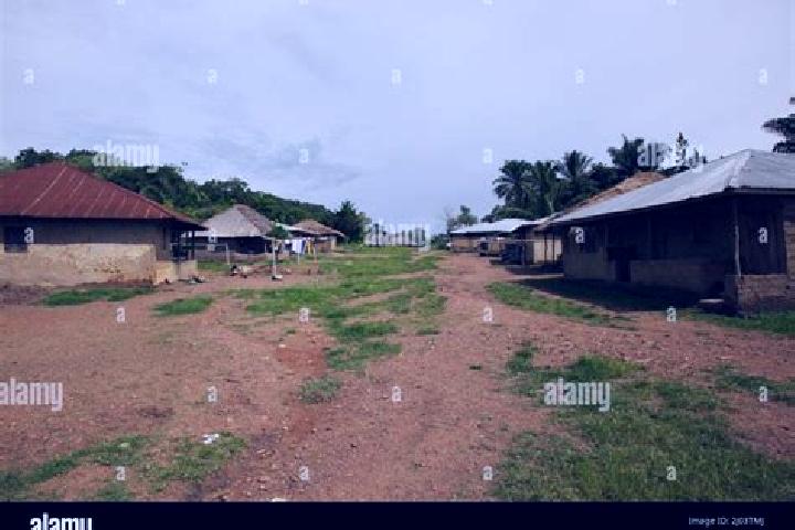 Escorts Jojoima, Sierra Leone — Local Companions