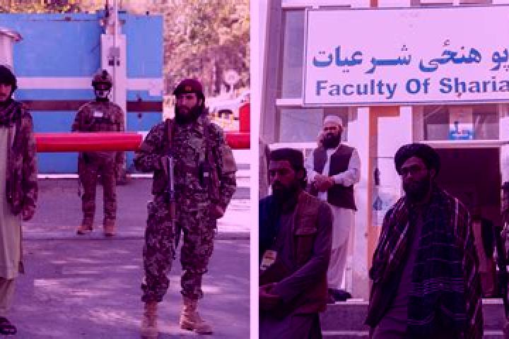 Escorts Kabul, Israel — Local Companions