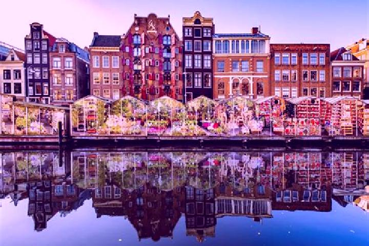Escorts Kadoelen, Netherlands — Local Companions