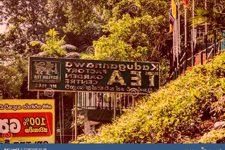 Escorts Kadugannawa, Sri Lanka — Local Companions