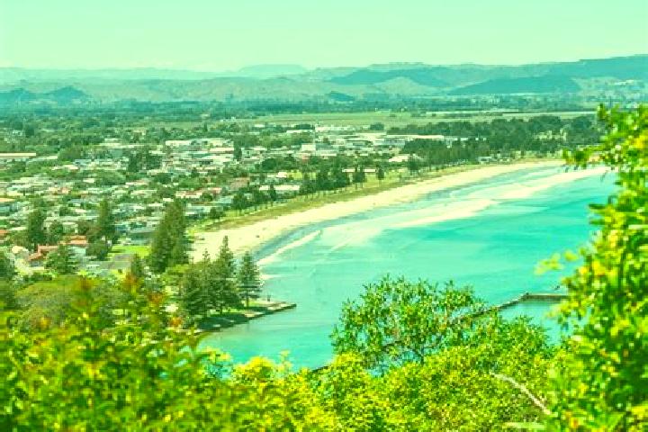 Escorts Kaiti, New Zealand — Local Companions