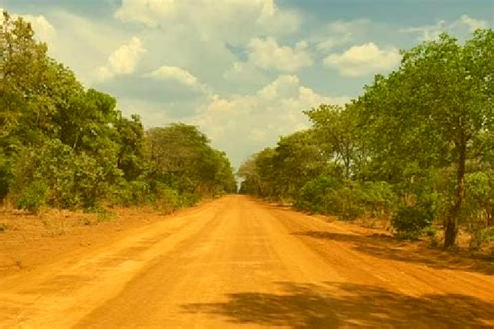 Escorts Kalengwa, Zambia — Local Companions