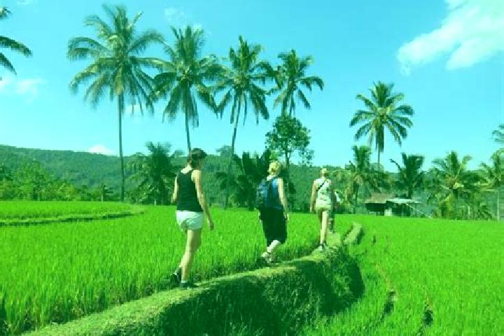 Escorts Kalibaru, Indonesia — Local Companions