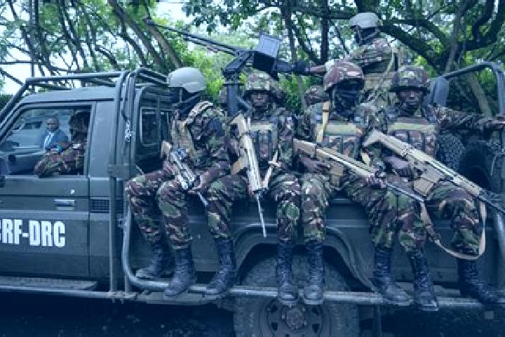 Escorts Kalima, DR Congo — Local Companions