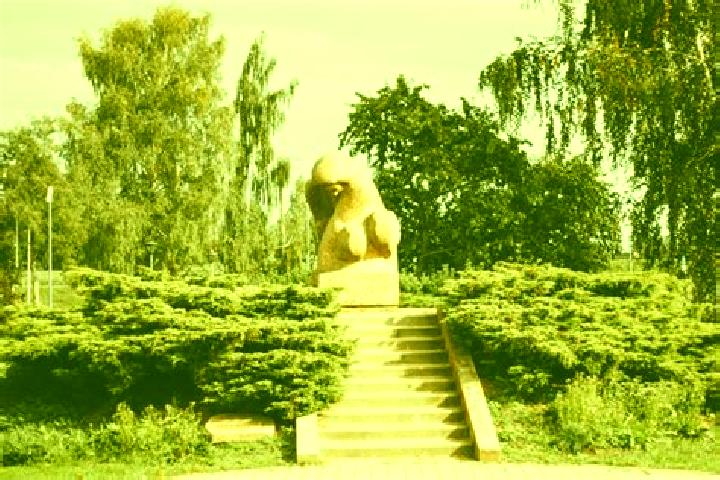 Escorts Kalngale, Latvia — Local Companions