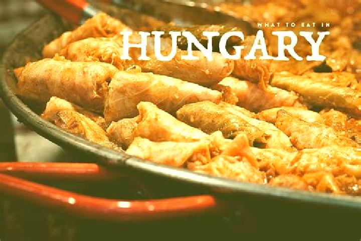Escorts Kaloz, Hungary — Local Companions