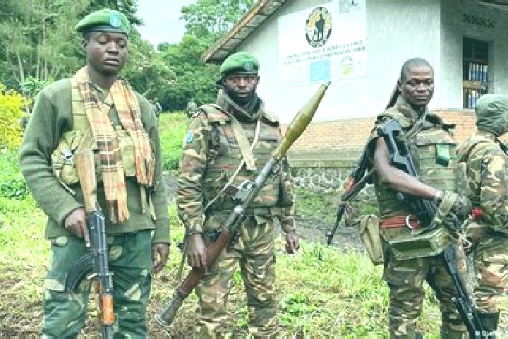 Escorts Kambove, DR Congo — Local Companions