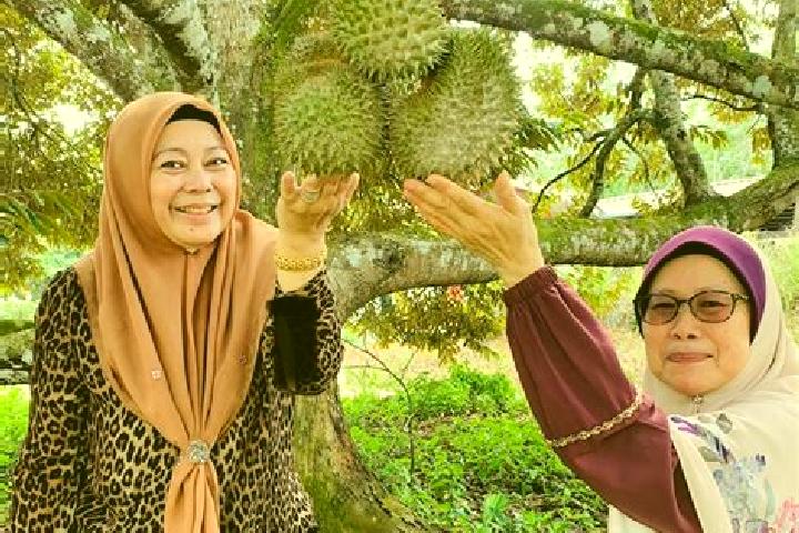 Escorts Kampung Simpang Durian, Malaysia — Local Companions