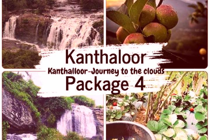 Escorts Kandalloor, India — Local Companions