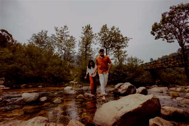 Escorts Kanhangad, India — Local Companions