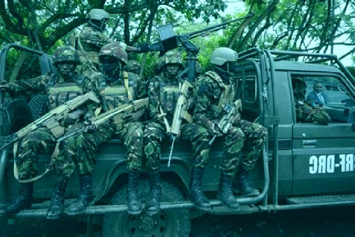 Escorts Kanyama, DR Congo — Local Companions