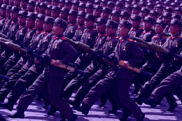 Escorts Kapsan-up, North Korea — Local Companions