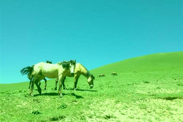 Escorts Kara-Dzhygach, Kyrgyzstan — Local Companions