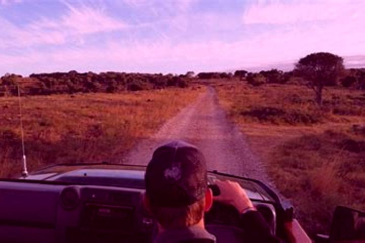 Escorts Kariega, South Africa — Local Companions