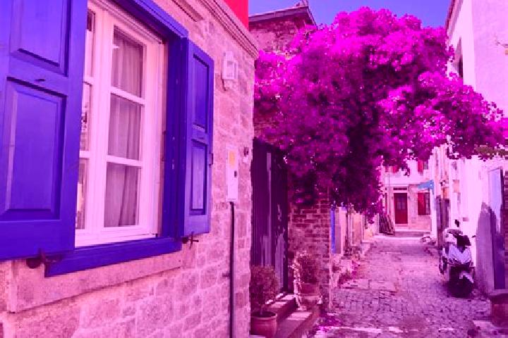 Escorts Kasaba, Turkey — Local Companions