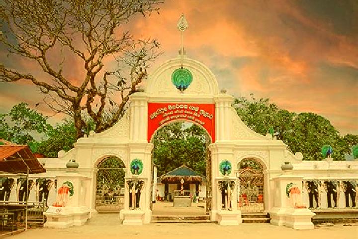 Escorts Kataragama, Sri Lanka — Local Companions