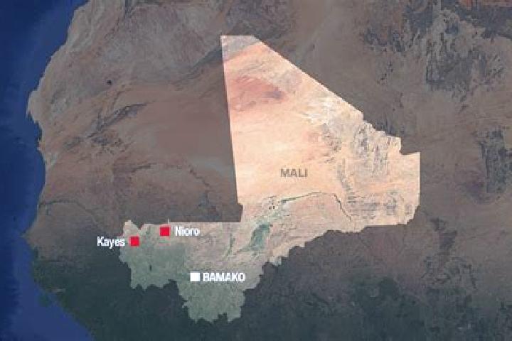Escorts Kayes, Mali — Local Companions