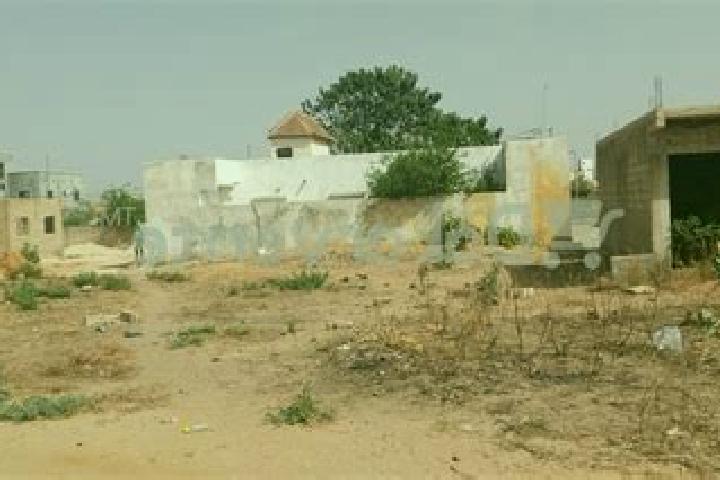 Escorts Kebemer, Senegal — Local Companions