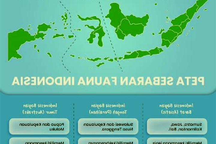 Escorts Kebon Tengah, Indonesia — Local Companions