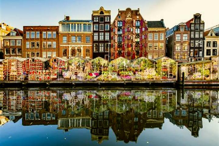 Escorts Keldonk, Netherlands — Local Companions