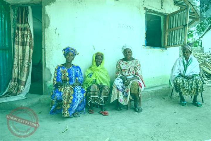 Escorts Kerewan, Gambia — Local Companions
