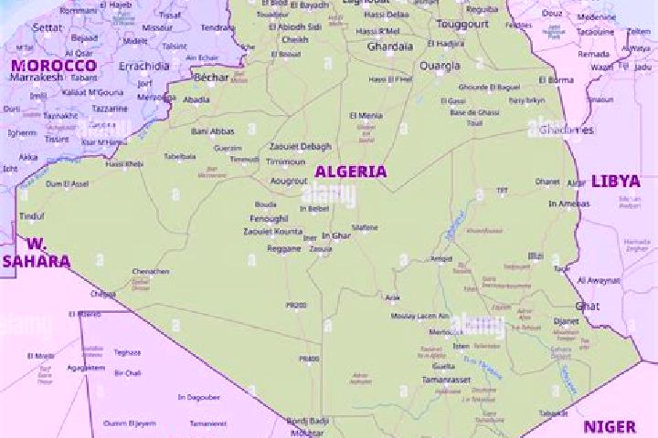 Escorts Kerkera, Algeria — Local Companions