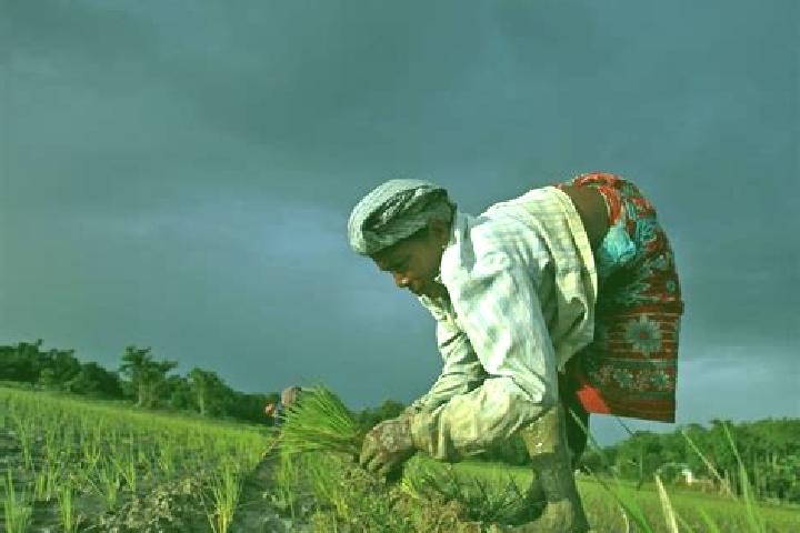 Escorts Khawzawl, India — Local Companions