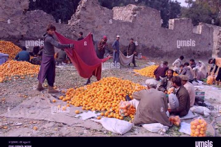 Escorts Khayr Kot, Afghanistan — Local Companions