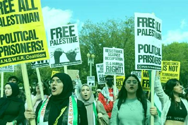 Escorts Khuza ah, Palestine — Local Companions