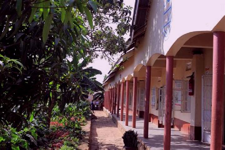 Escorts Kigumba, Uganda — Local Companions