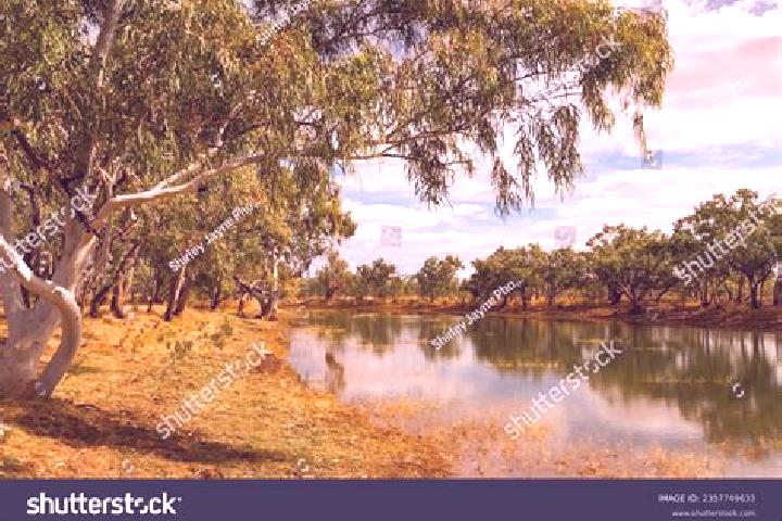 Escorts King Creek, Australia — Local Companions