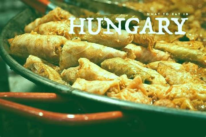 Escorts Kisfalud, Hungary — Local Companions