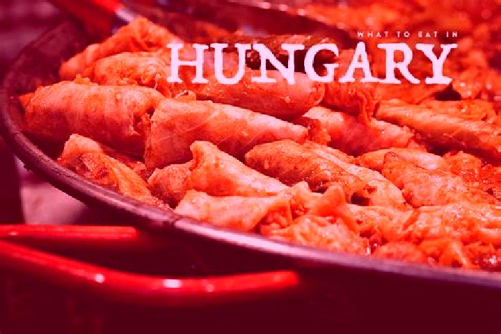 Escorts Kisgyor, Hungary — Local Companions