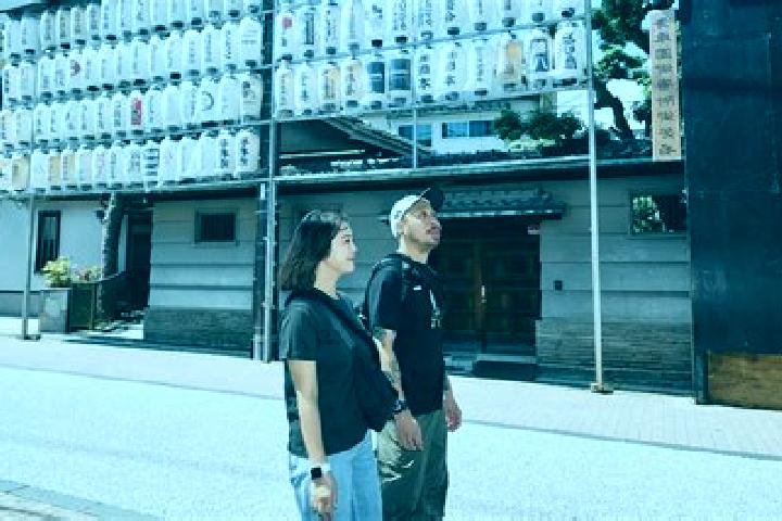 Escorts Kishiwada, Japan — Local Companions