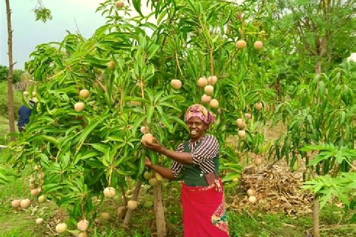 Escorts Kitui, Kenya — Local Companions
