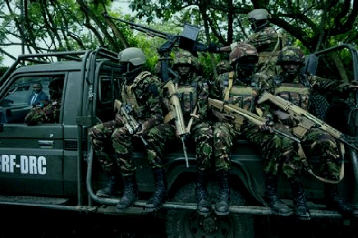 Escorts Kituku, DR Congo — Local Companions