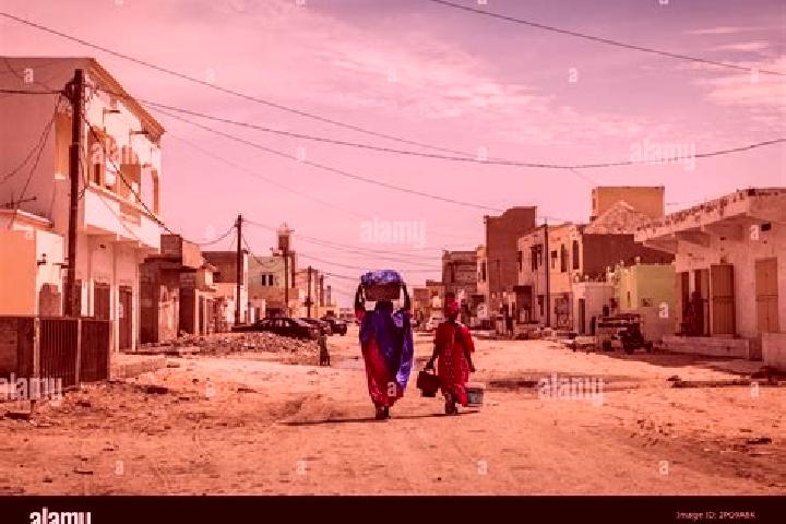 Escorts Kobenni, Mauritania — Local Companions