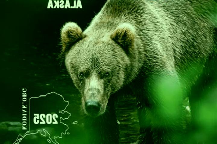 Escorts Kodiak, United States — Local Companions